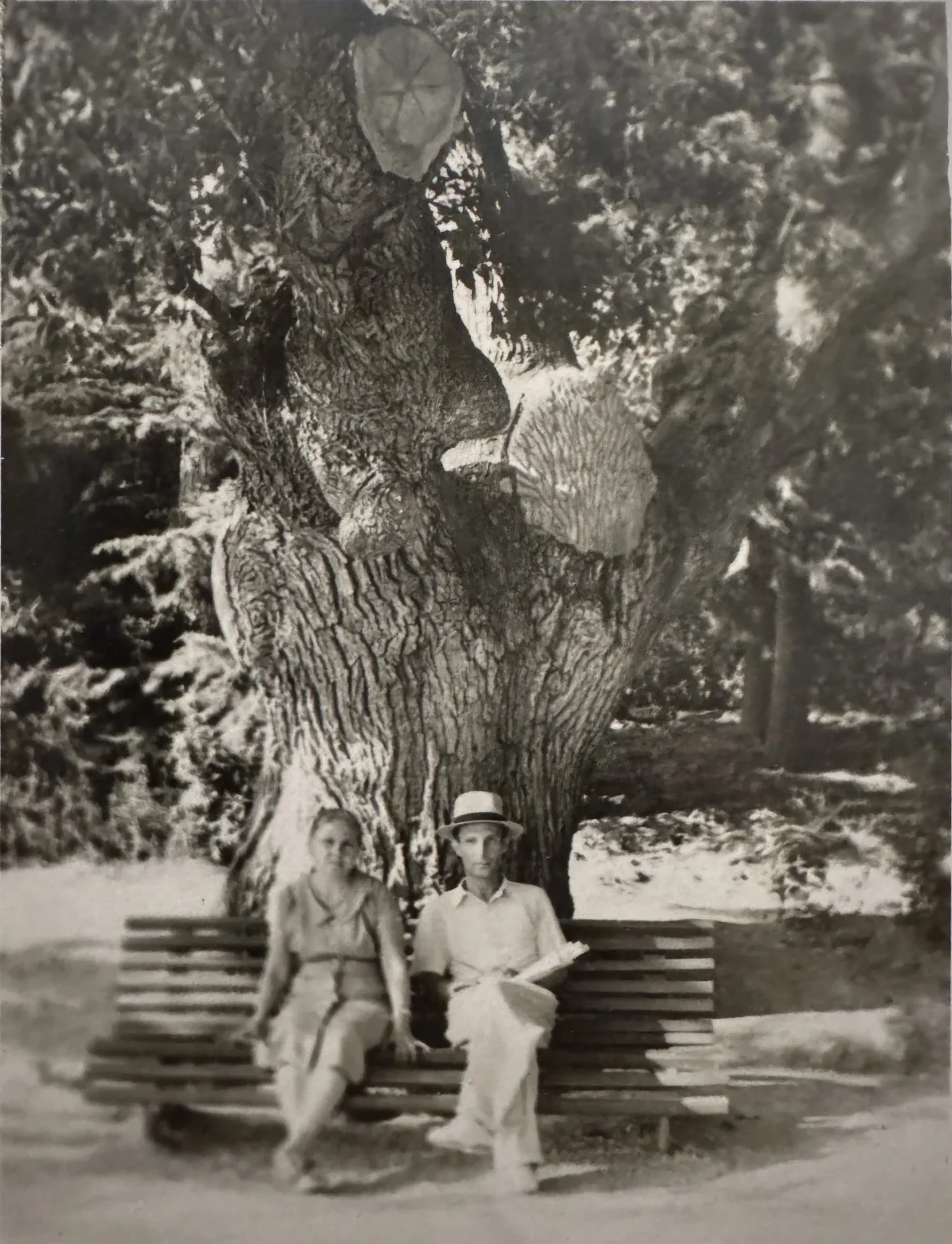 Семейная фотография