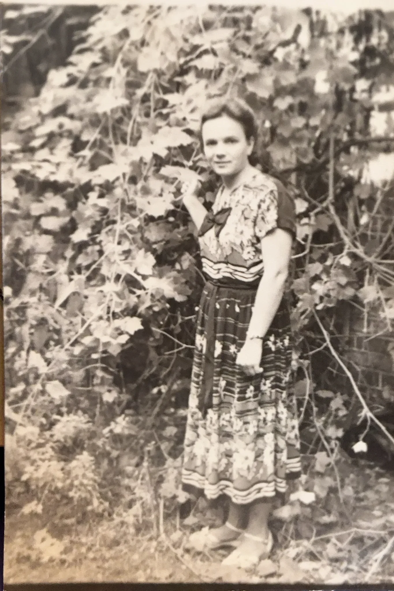 Семейная фотография
