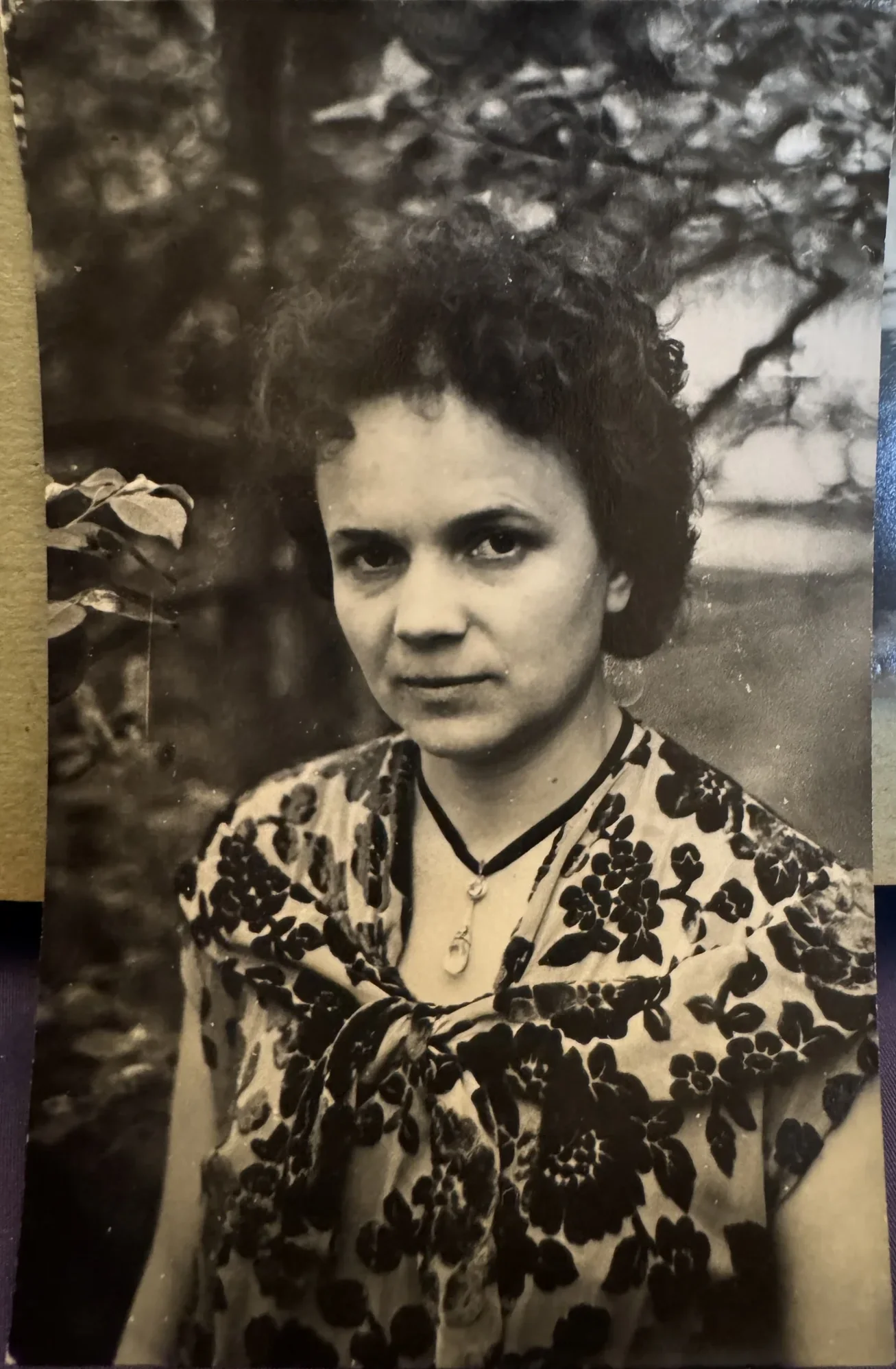 Семейная фотография