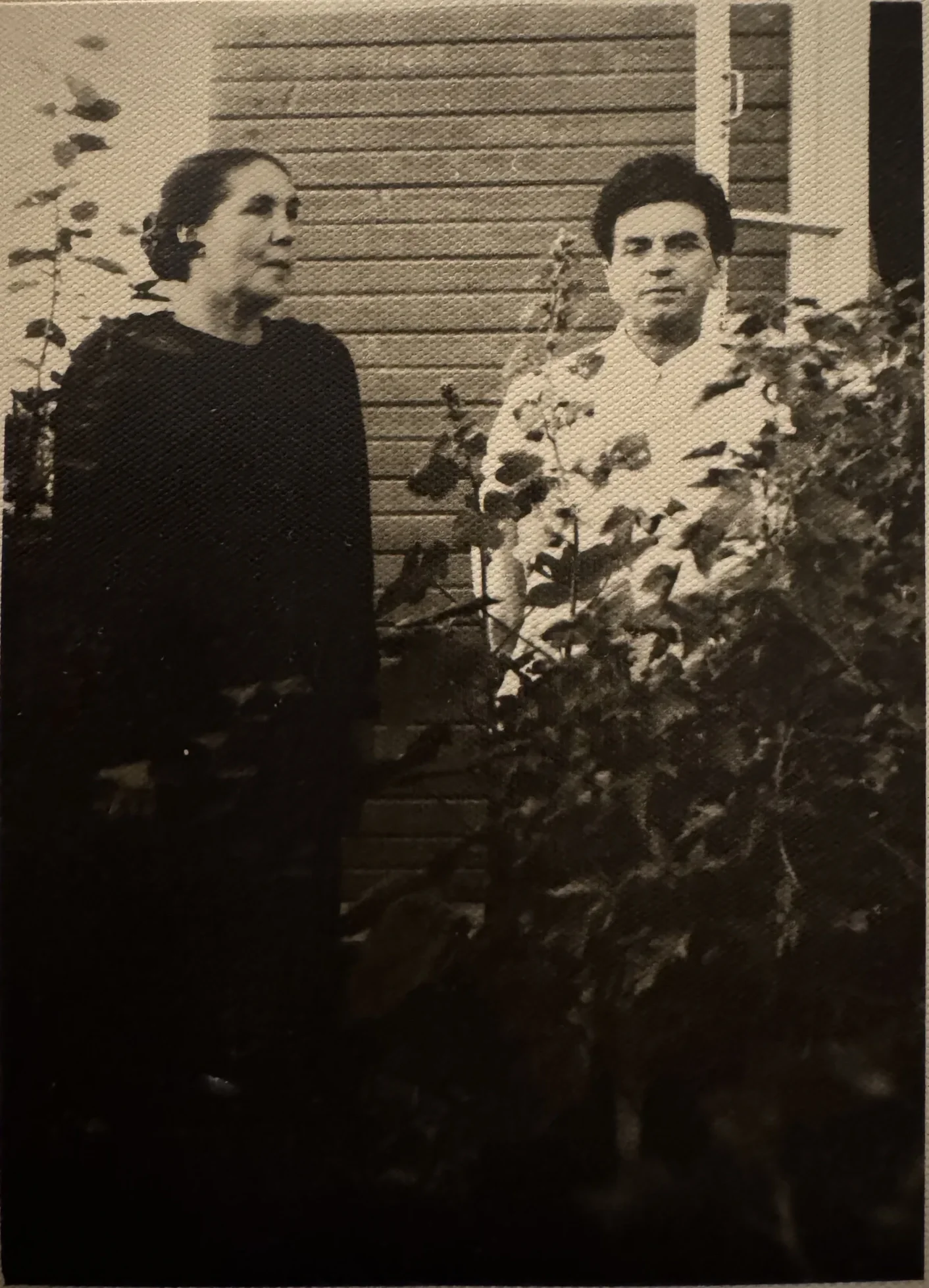 Семейная фотография